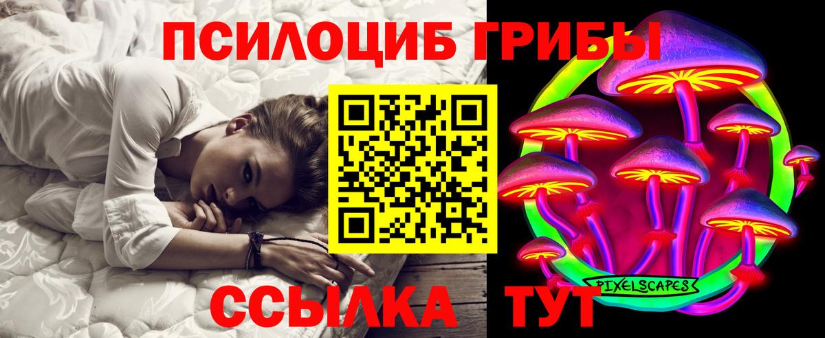 Псилоцибиновые грибы Psilocybe  даркнет сайт  Владикавказ  Вход с VPN 